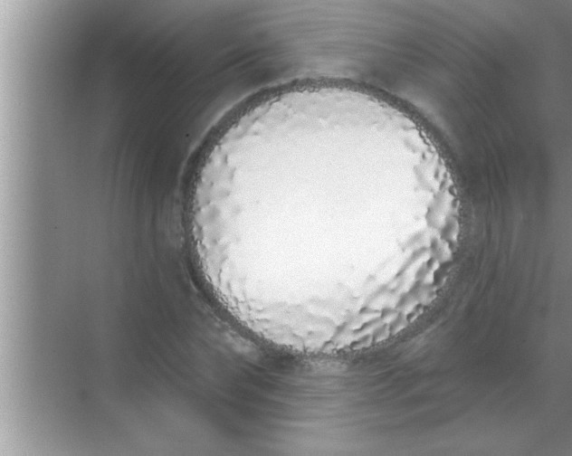 X0000069400878200605262140