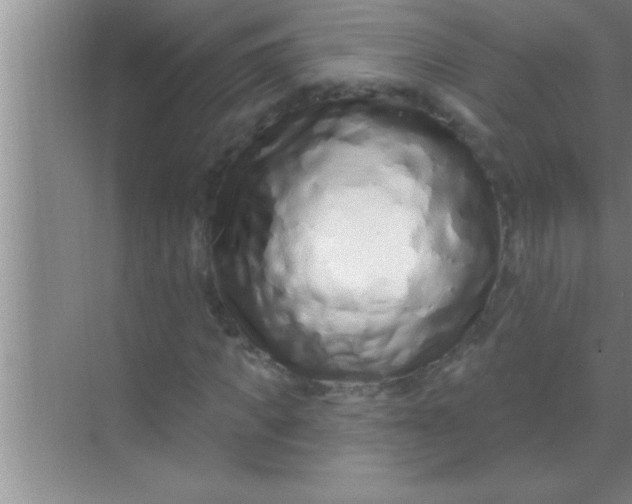 X0000069400917200605262139