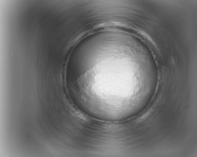 X0000069400921200605262139