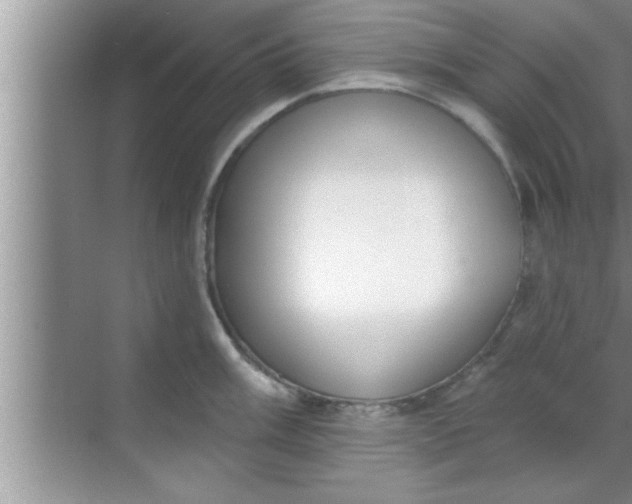 X0000069401003200605262138