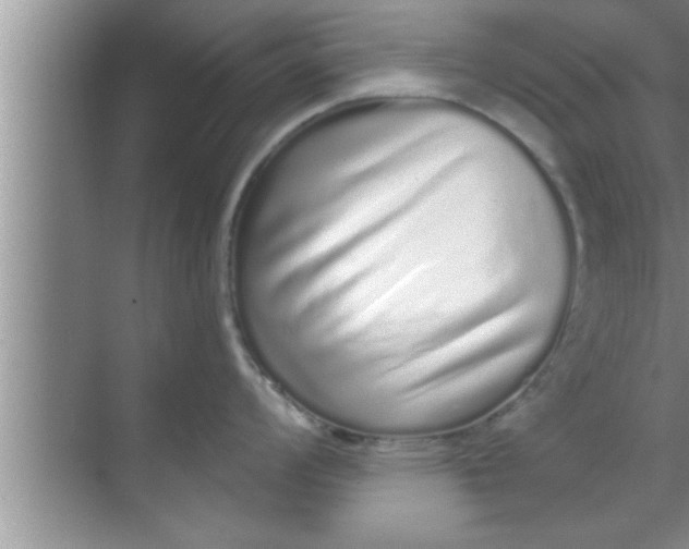 X0000069401008200605262138