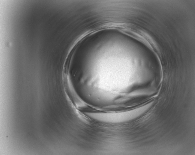 X0000069401050200605262138