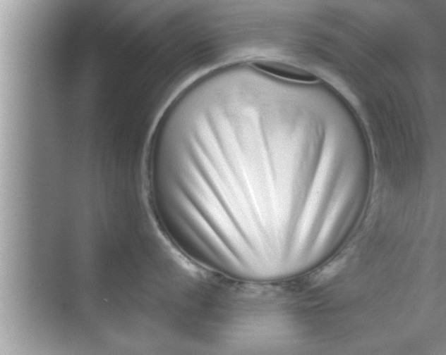X0000069401056200605262138