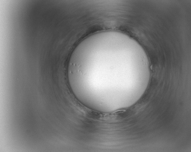 X0000069401201200605262134