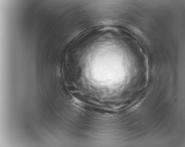 X0000069401209200605262134