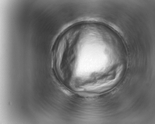X0000069401223200605262134
