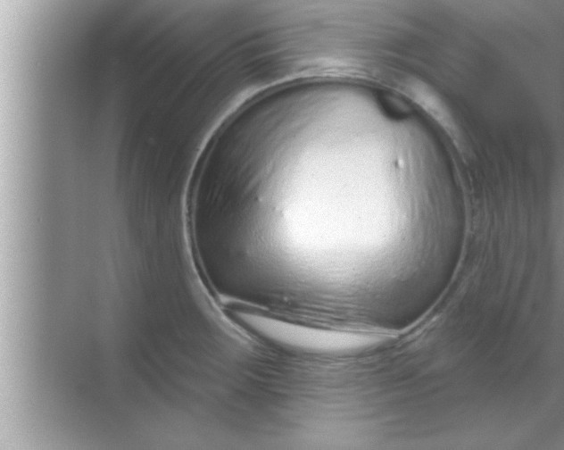X0000069401283200605262133