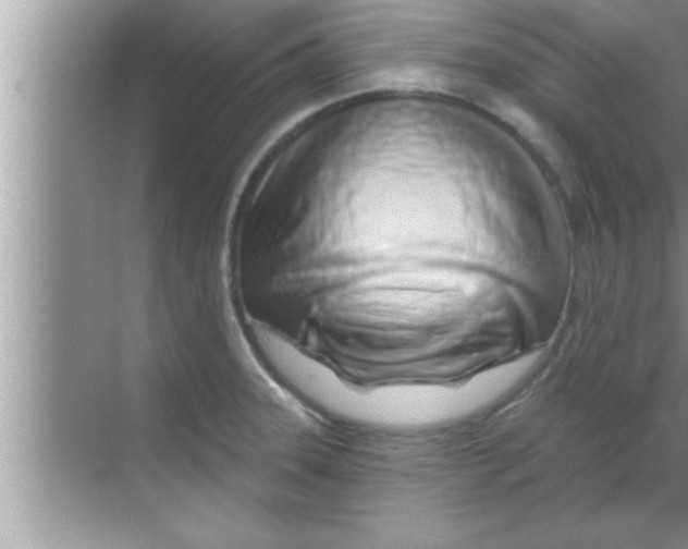 X0000069401331200605262133