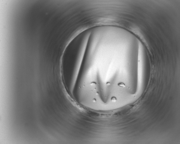 X0000069401386200605262132