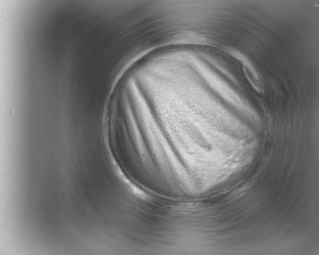 X0000069401387200605262132