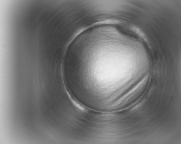 X0000069401425200605262131