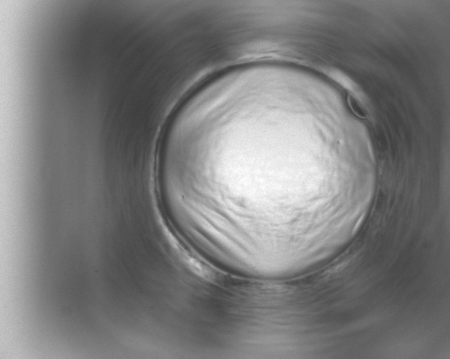 X0000069401431200605262131