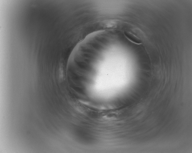X0000069401442200605262131