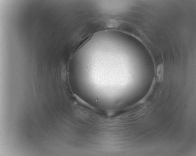 X0000069401443200605262131