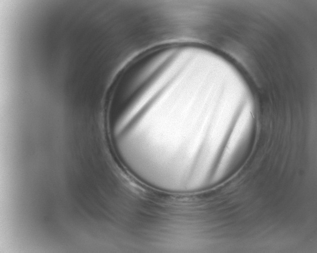 X0000069401460200605262130