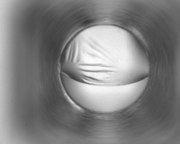 X0000069401476200605262130