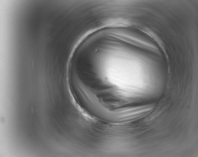 X0000069401488200605262130
