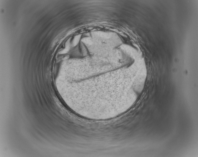 X0000069400002200606021708