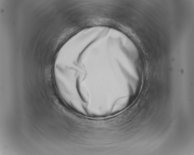 X0000069400010200606021708