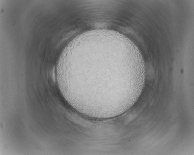 X0000069400028200606021708