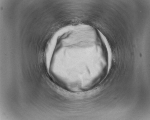 X0000069400038200606021708