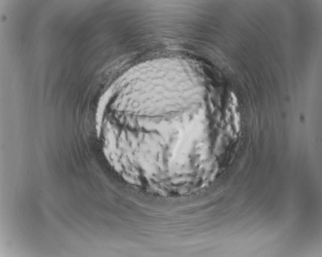 X0000069400043200606021707