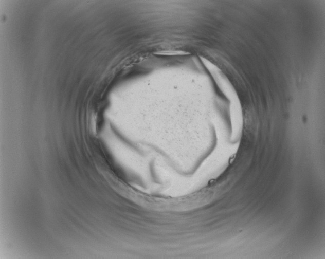 X0000069400046200606021707