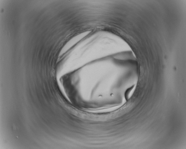 X0000069400048200606021707