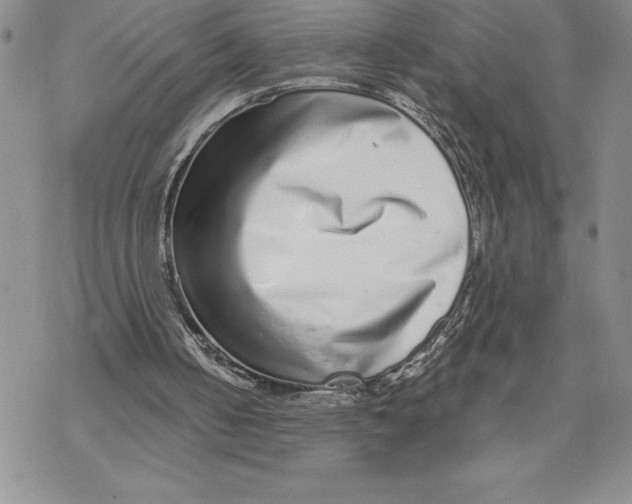 X0000069400050200606021707