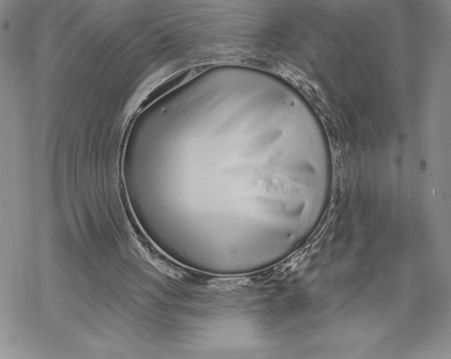 X0000069400051200606021707