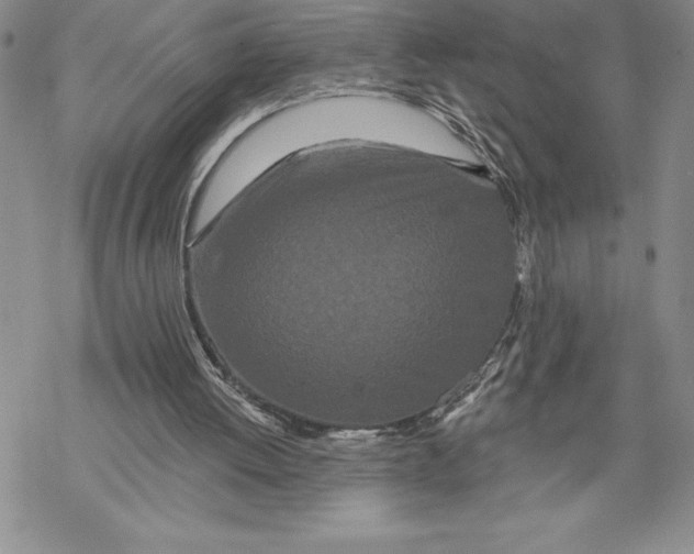 X0000069400052200606021707