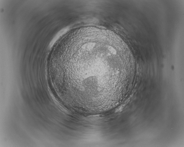 X0000069400054200606021707