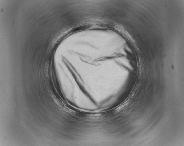 X0000069400058200606021707