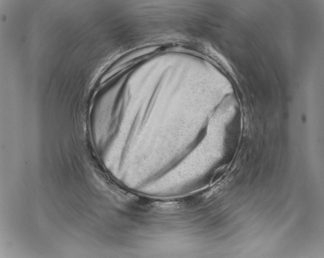 X0000069400059200606021707