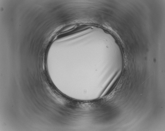 X0000069400062200606021707