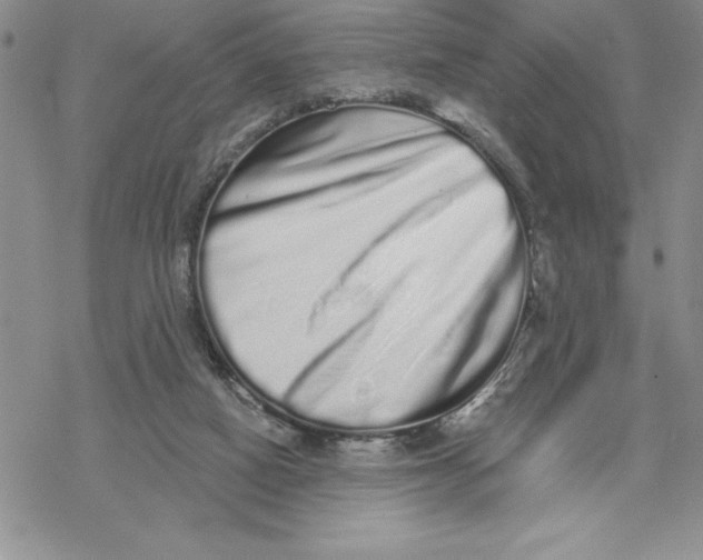 X0000069400066200606021707