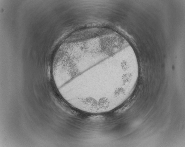 X0000069400067200606021707