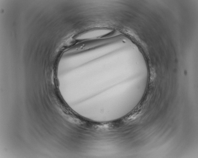 X0000069400068200606021707