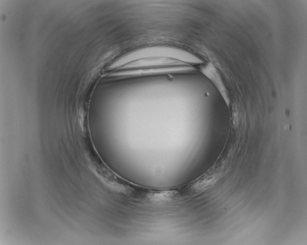 X0000069400072200606021707