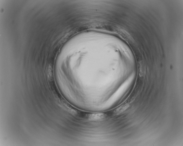 X0000069400077200606021707