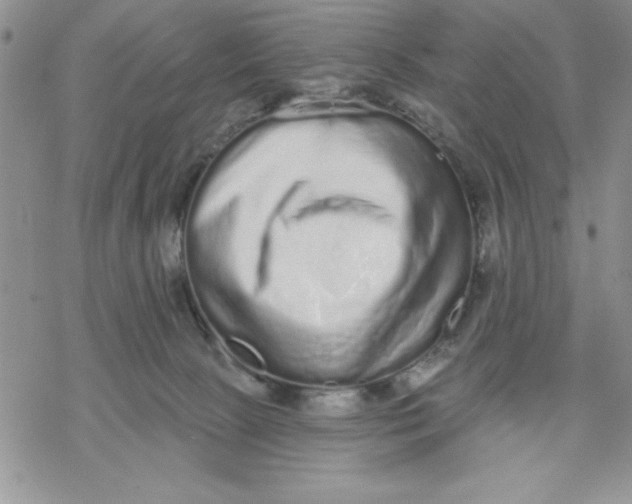 X0000069400081200606021707