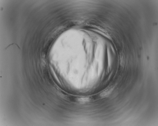 X0000069400085200606021707