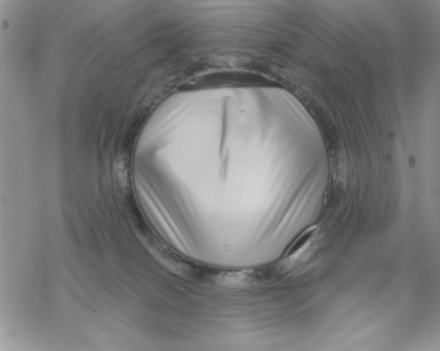 X0000069400086200606021707
