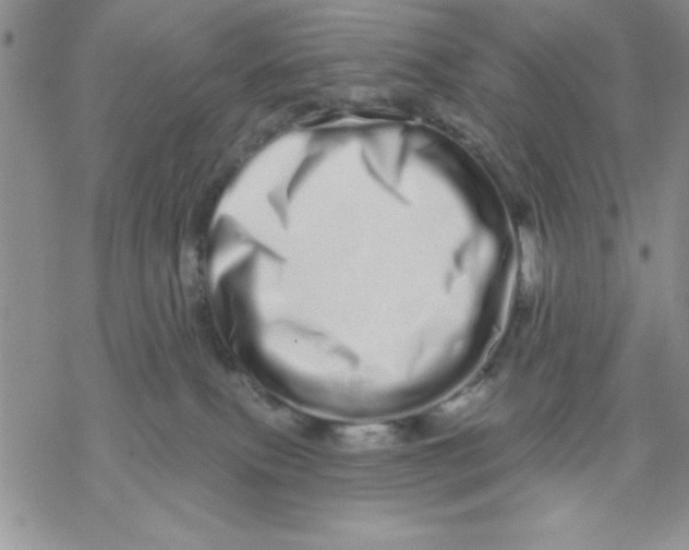 X0000069400087200606021707