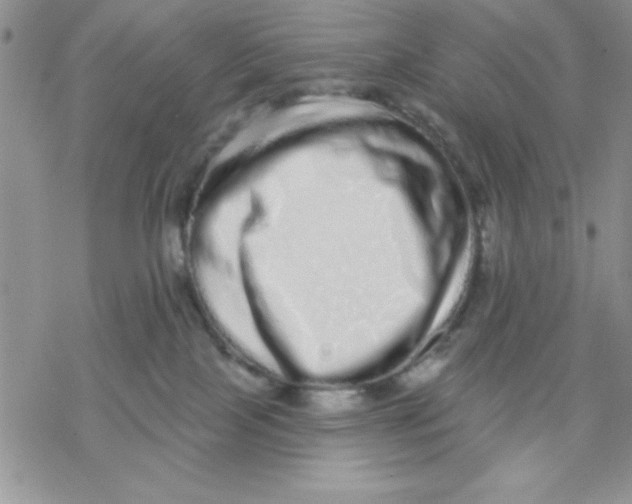 X0000069400089200606021707