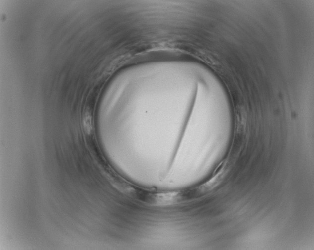 X0000069400090200606021707