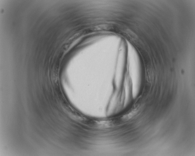 X0000069400091200606021707
