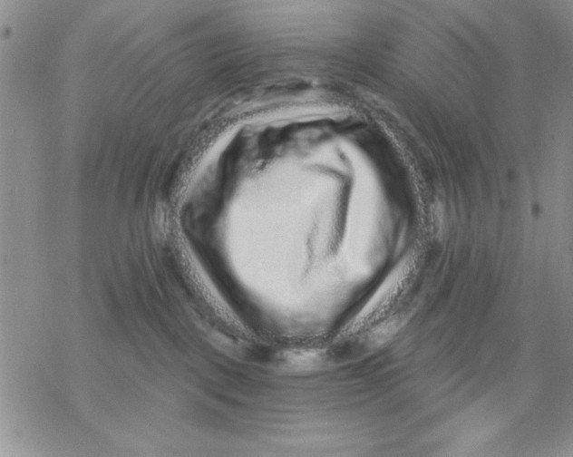 X0000069400093200606021707