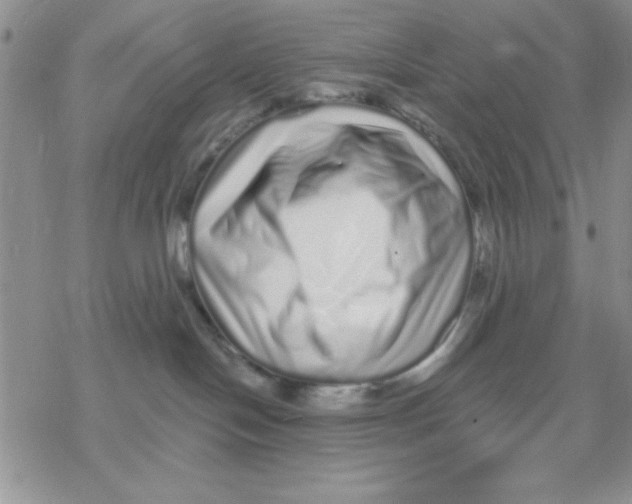 X0000069400094200606021707
