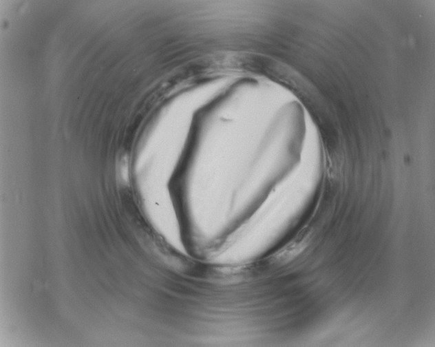 X0000069400095200606021707
